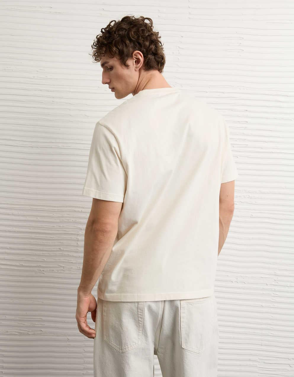 AE Standard Fit Graphic Logo T-Shirt