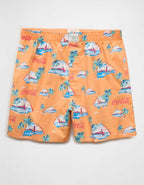 AEO Men's Stretch Boxer Short