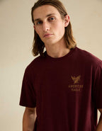 AE Standard Fit Graphic Logo T-Shirt