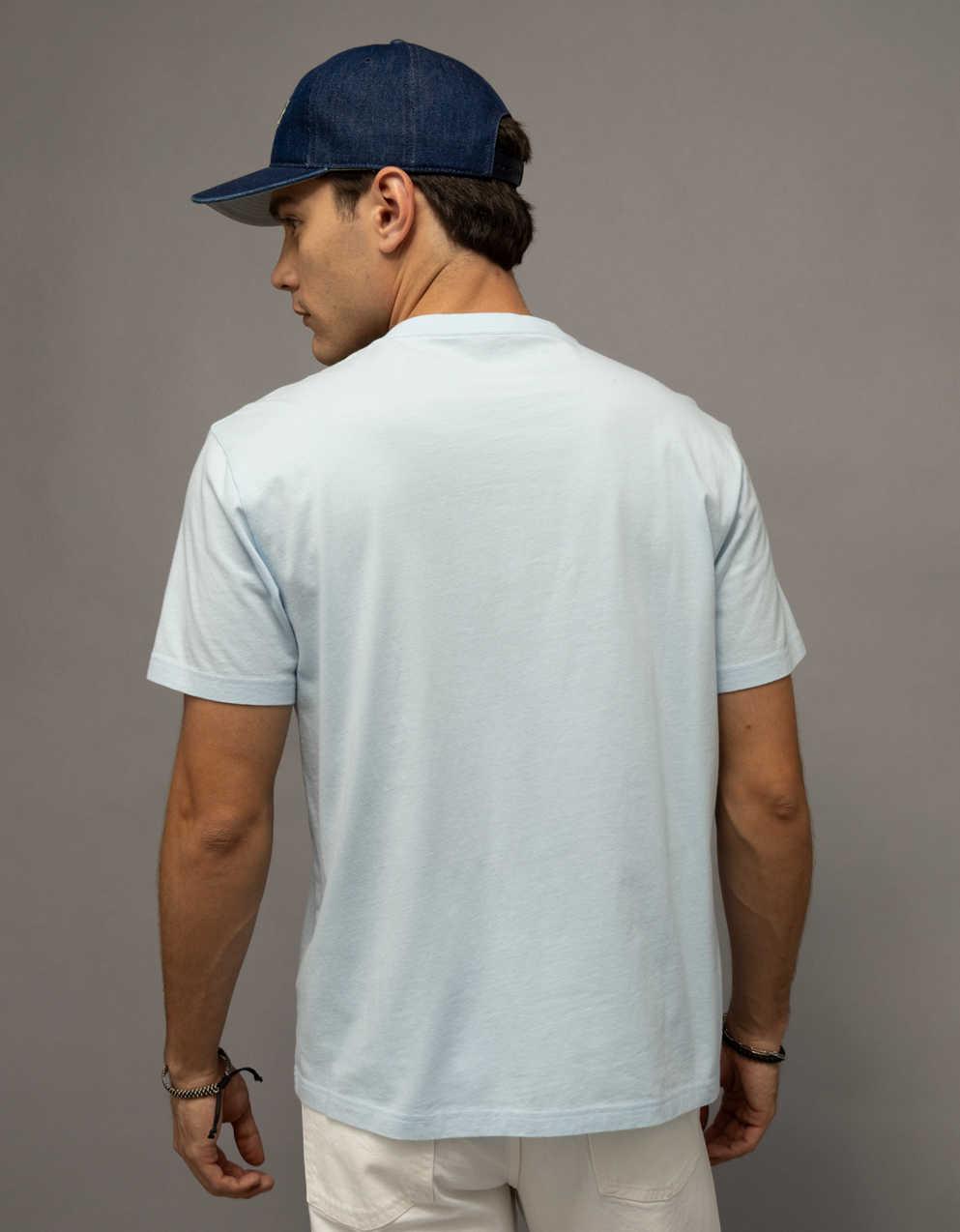 AE Standard Fit Graphic Logo T-Shirt