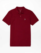 AE Standard Fit Flex Pique Polo Shirt