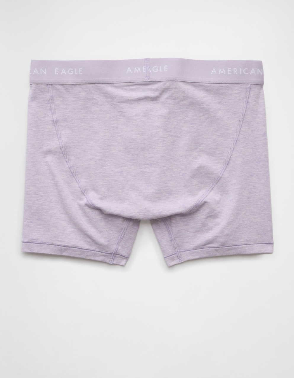 AEO Men's 4.5" Classic Boxer Brief