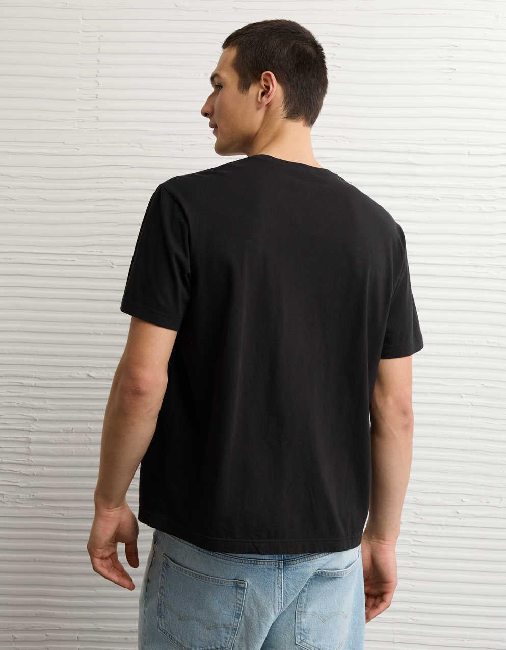 AE Standard Fit Lived-In V-Neck T-Shirt