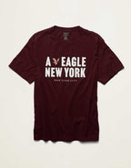AE Standard Fit Applique Graphic T-Shirt