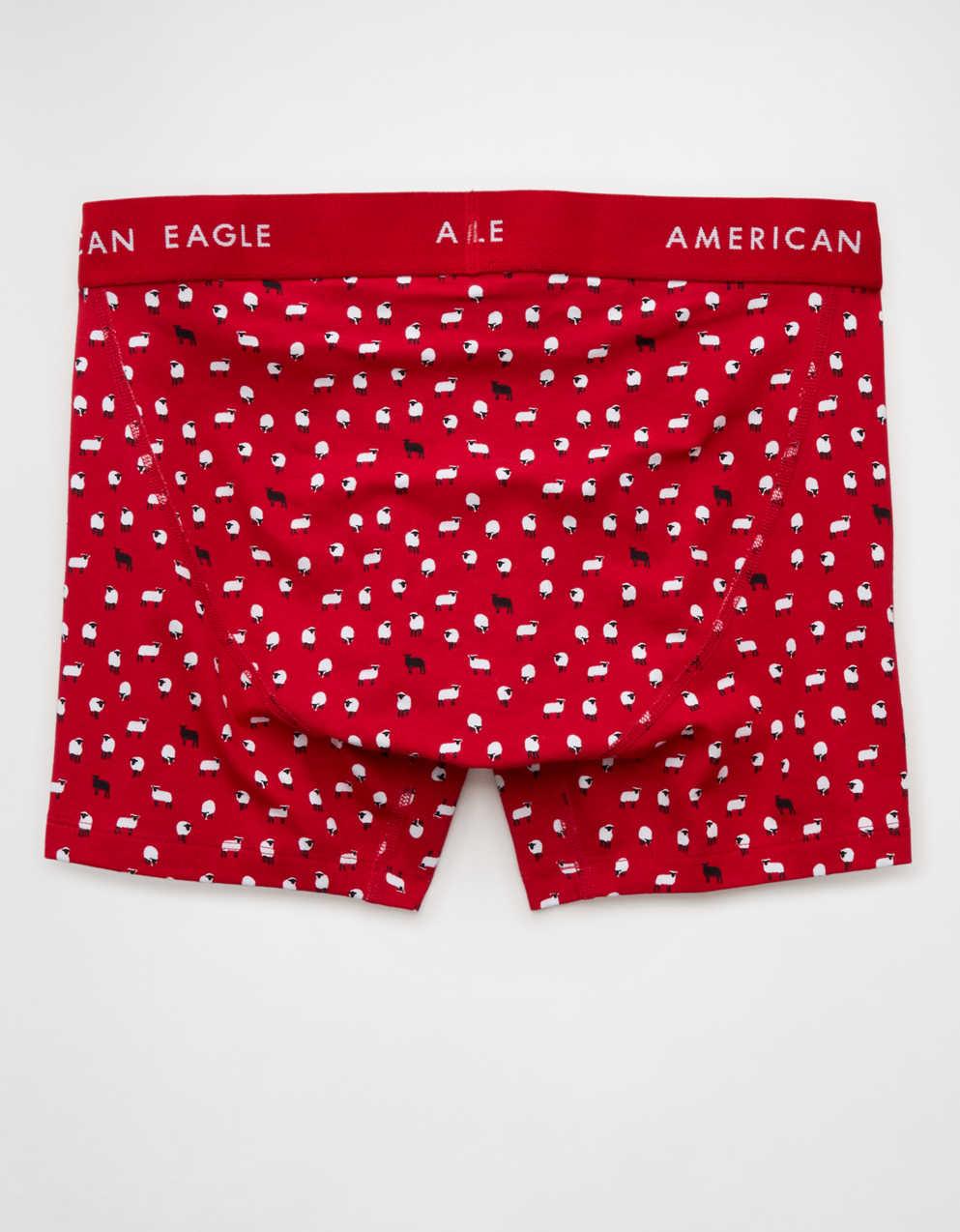 AEO Men's 4.5" Classic Boxer Brief