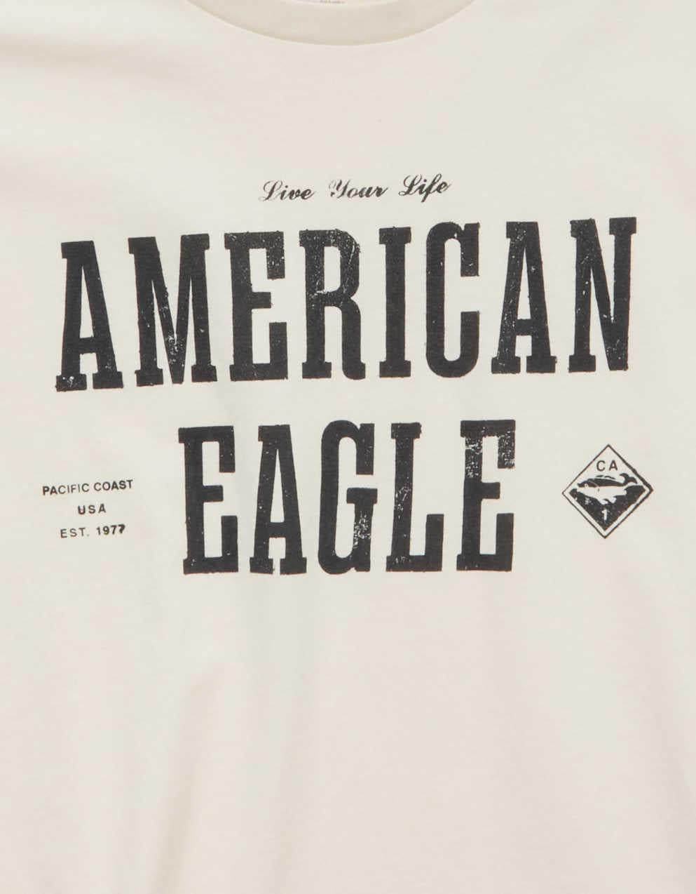 AE Standard Fit Graphic Logo T-Shirt