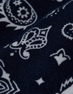 AEO Men's Paisley 4.5" Ultra Soft Boxer Brief