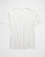 AE Standard Fit Lived-In V-Neck T-Shirt
