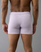 AEO Men's 4.5" Classic Boxer Brief