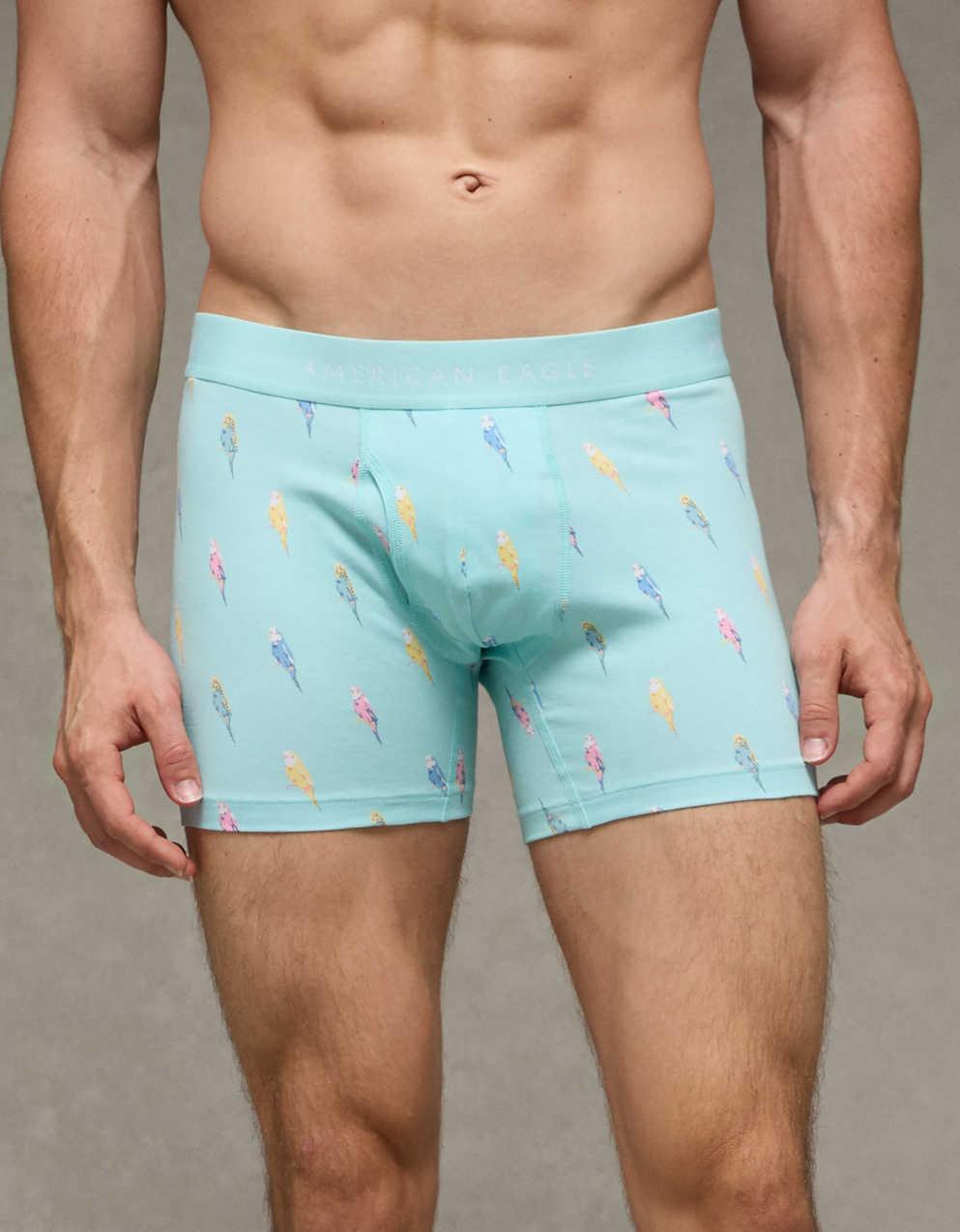 AEO Men's 4.5" Classic Boxer Brief