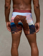 AEO Men's National Park 6" Flex Boxer Brief
