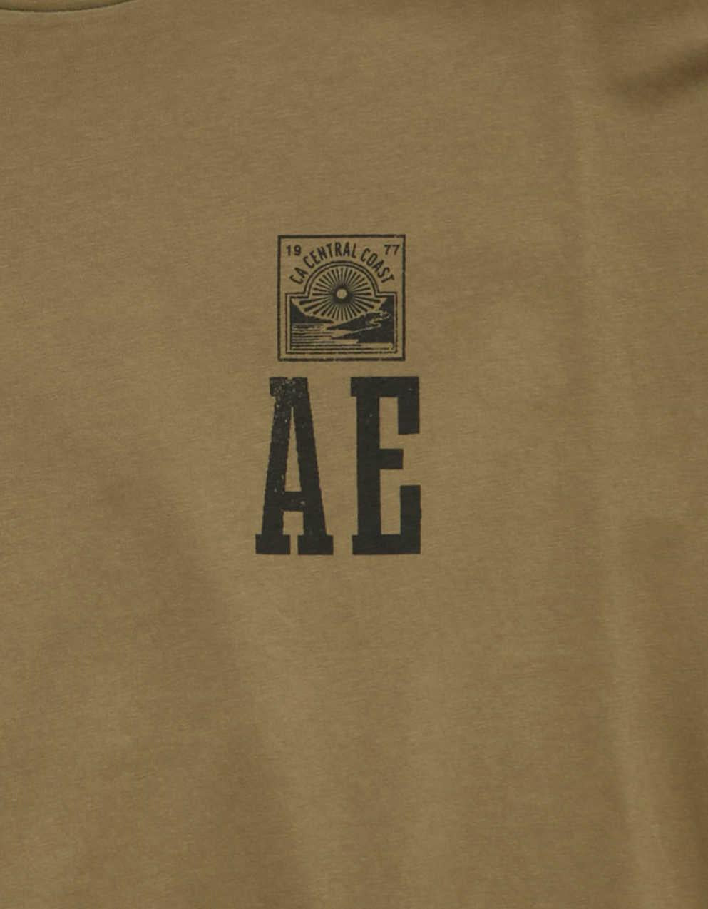 AE Standard Fit Logo Graphic T-Shirt