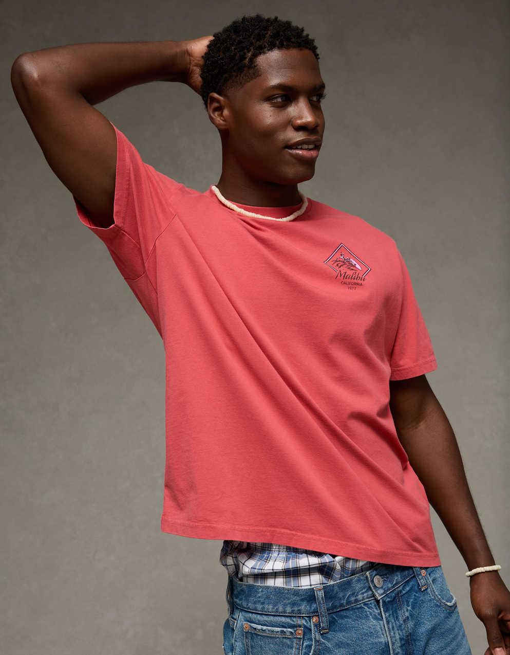 AE Standard Fit Destination Graphic T-Shirt