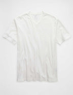 AE Standard Fit Lived-In V-Neck T-Shirt
