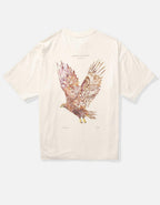 AE Oversized Graphic T-Shirt