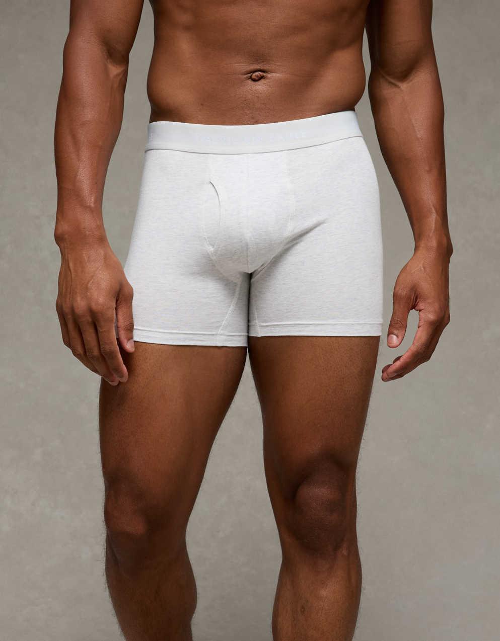 AEO Men's 4.5" Classic Cotton Boxer Brief