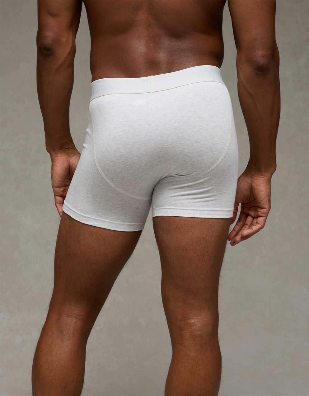 AEO Men's 4.5" Classic Boxer Brief