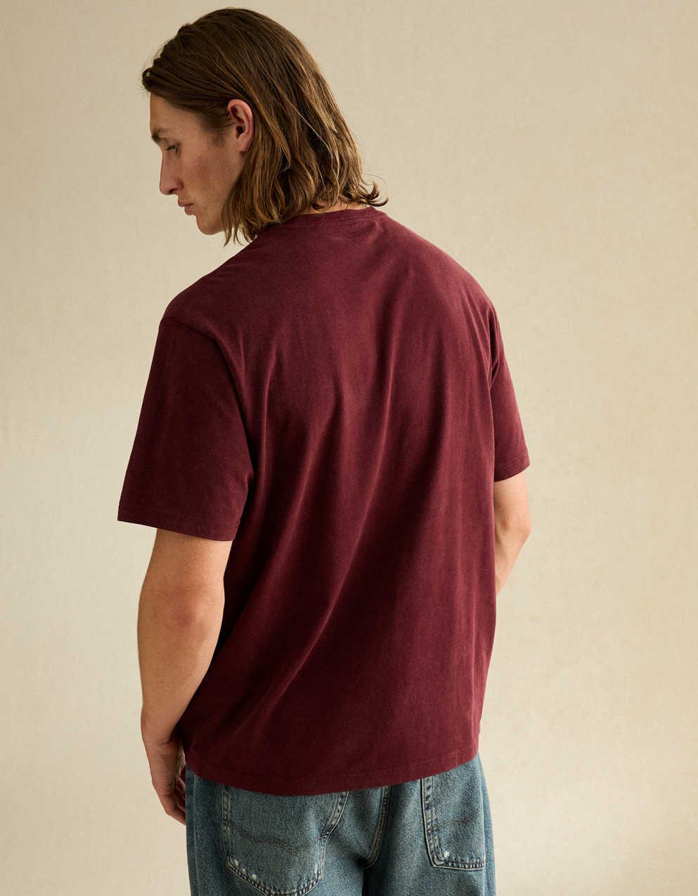AE Standard Fit Graphic Logo T-Shirt