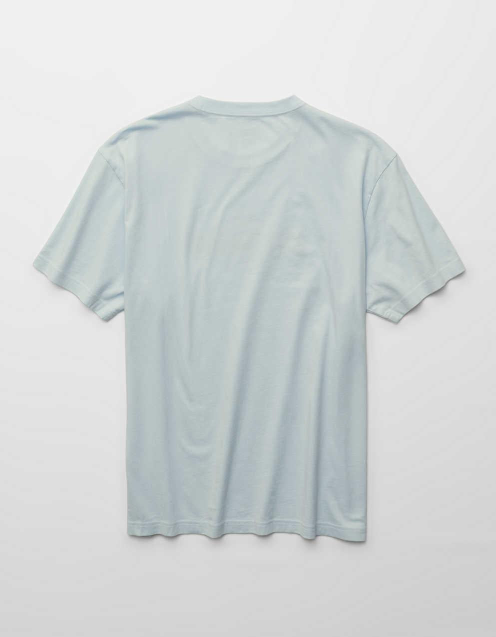 AE Standard Fit Graphic Logo T-Shirt