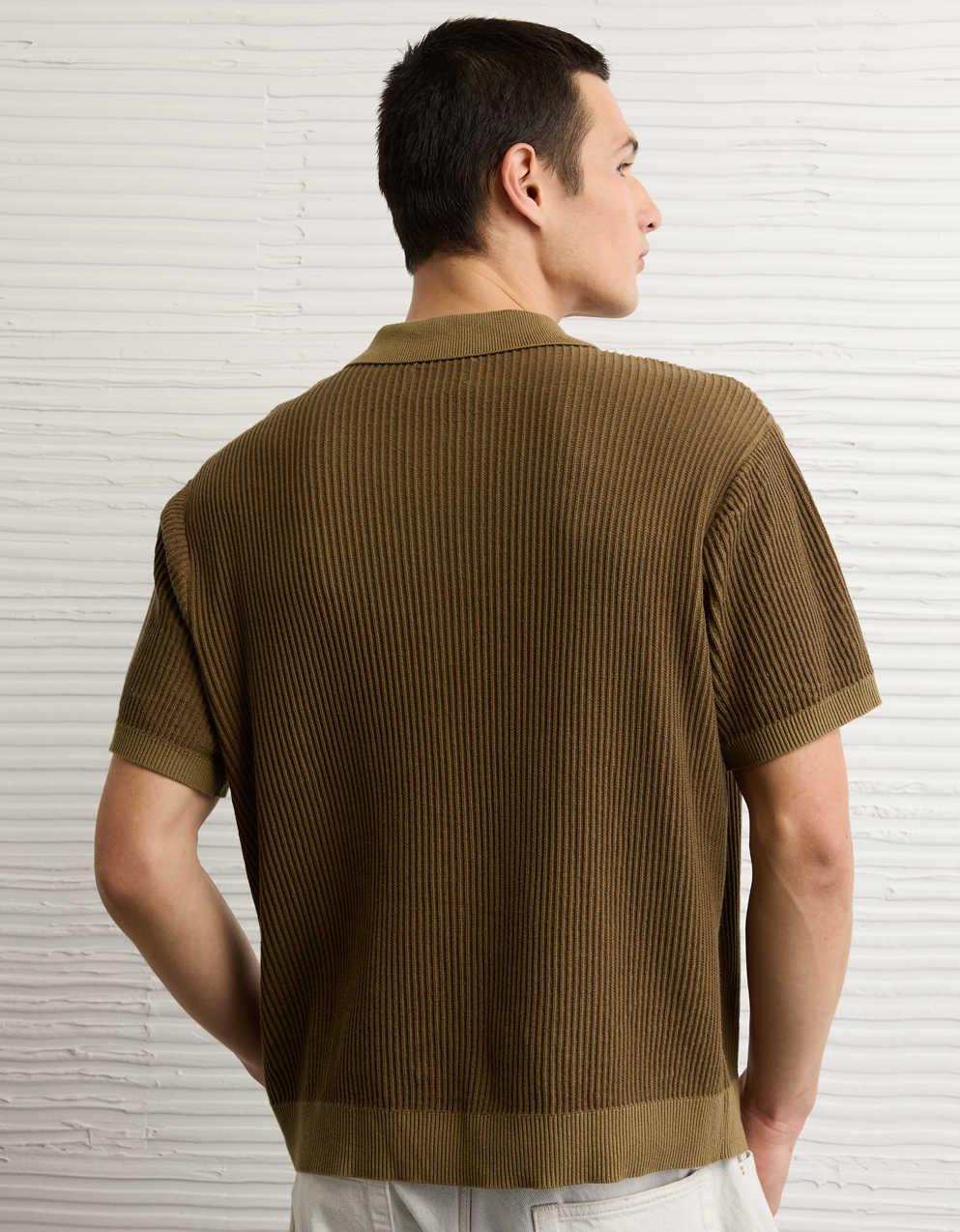 AE Striped Button-Up Sweater Polo