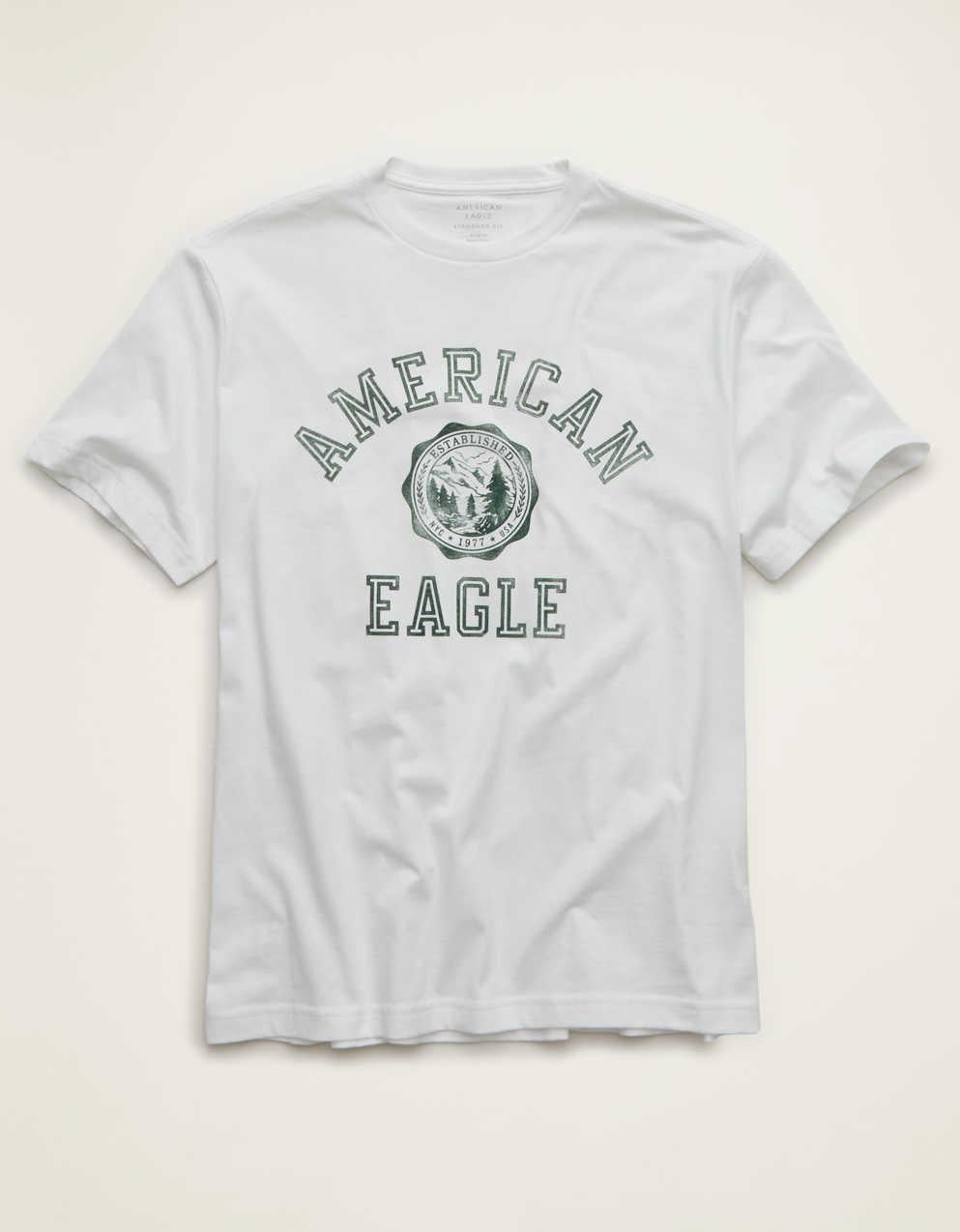 AE Standard Fit Graphic Logo T-Shirt