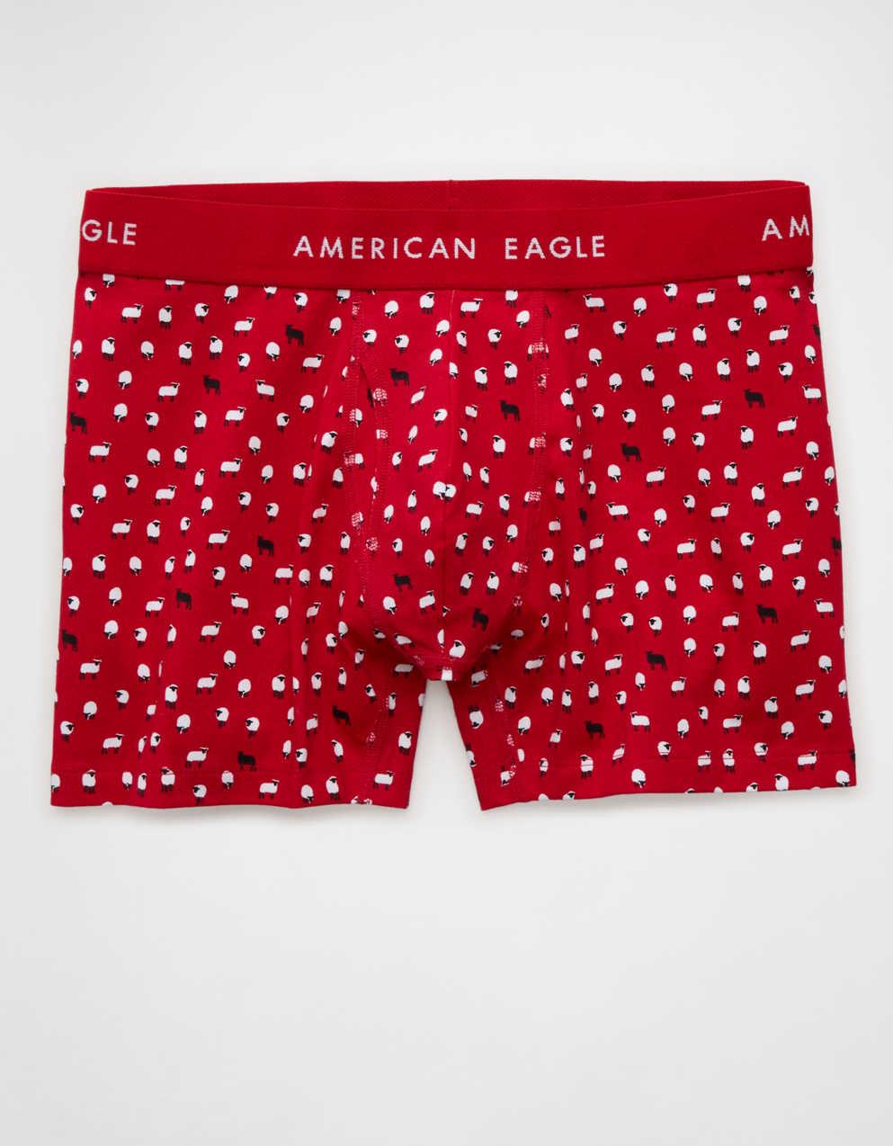 AEO Men's 4.5" Classic Boxer Brief