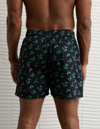 AEO Holly Stretch Boxer Short