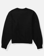 AE Graphic Crewneck Sweatshirt