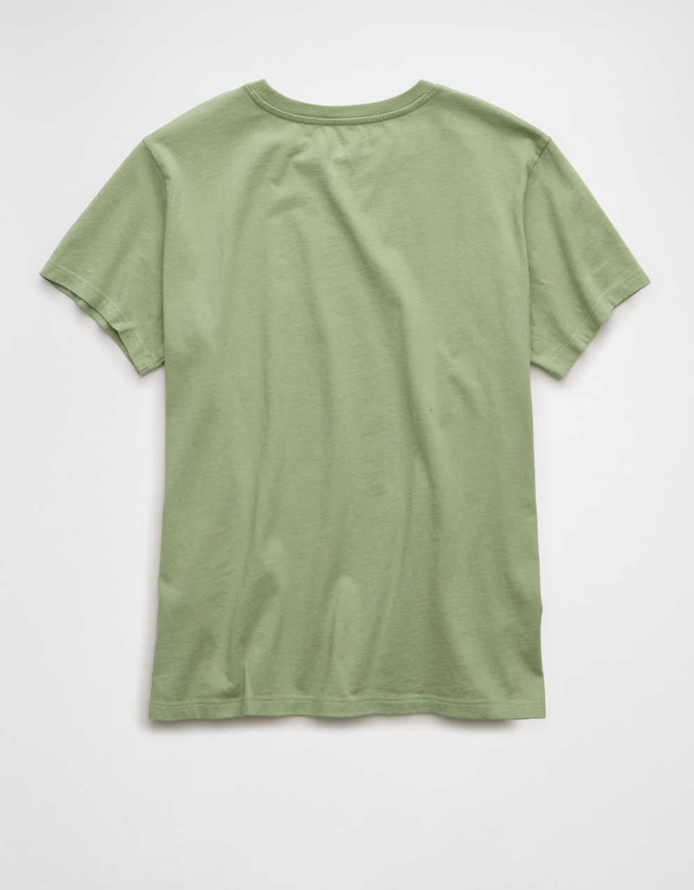 AE Everyday Graphic T-Shirt