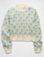 AE Snow Stopper Sweater