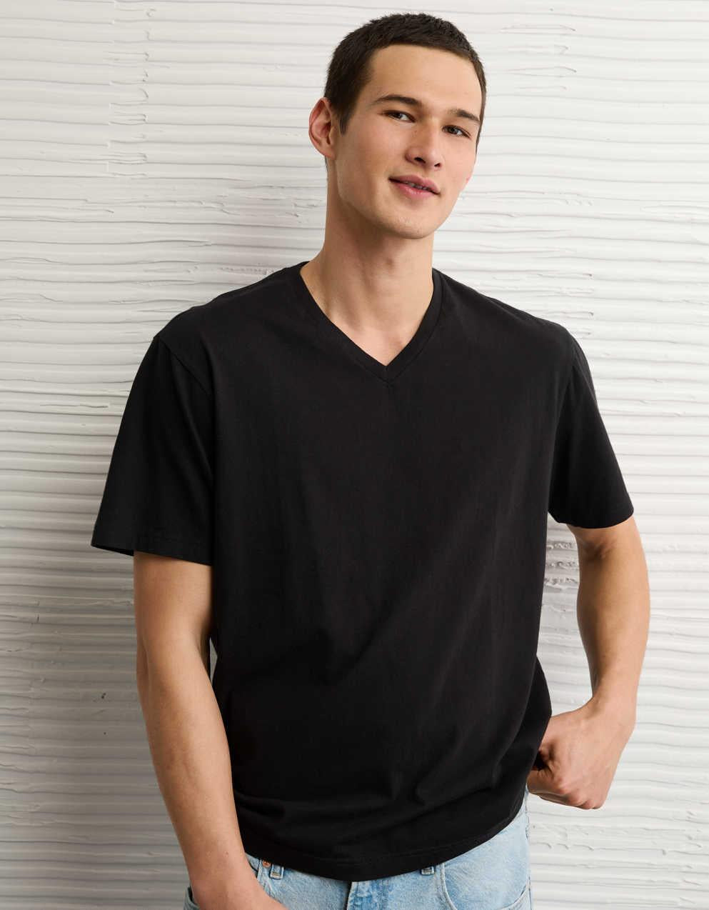 AE Standard Fit Lived-In V-Neck T-Shirt