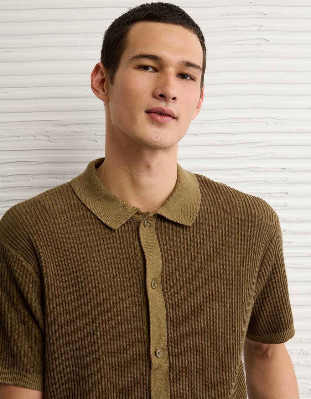 AE Striped Button-Up Sweater Polo