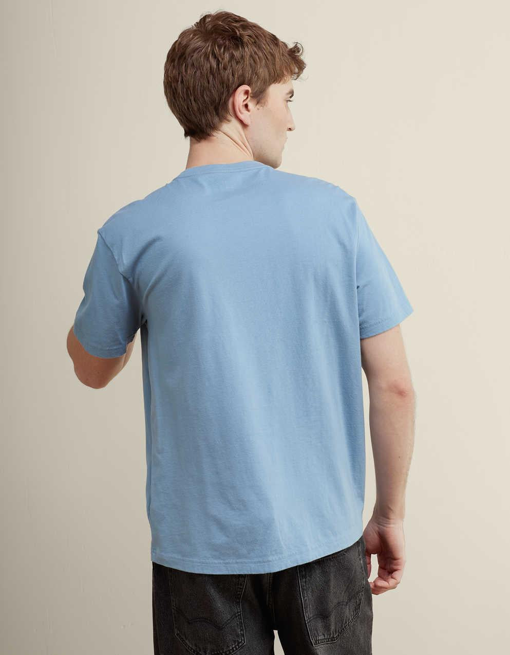 AE Standard Fit Applique Graphic T-Shirt