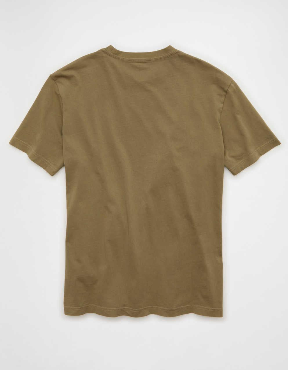 AE Standard Fit Graphic Logo T-Shirt