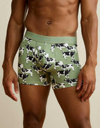 AEO Men's 4.5" Classic Boxer Brief