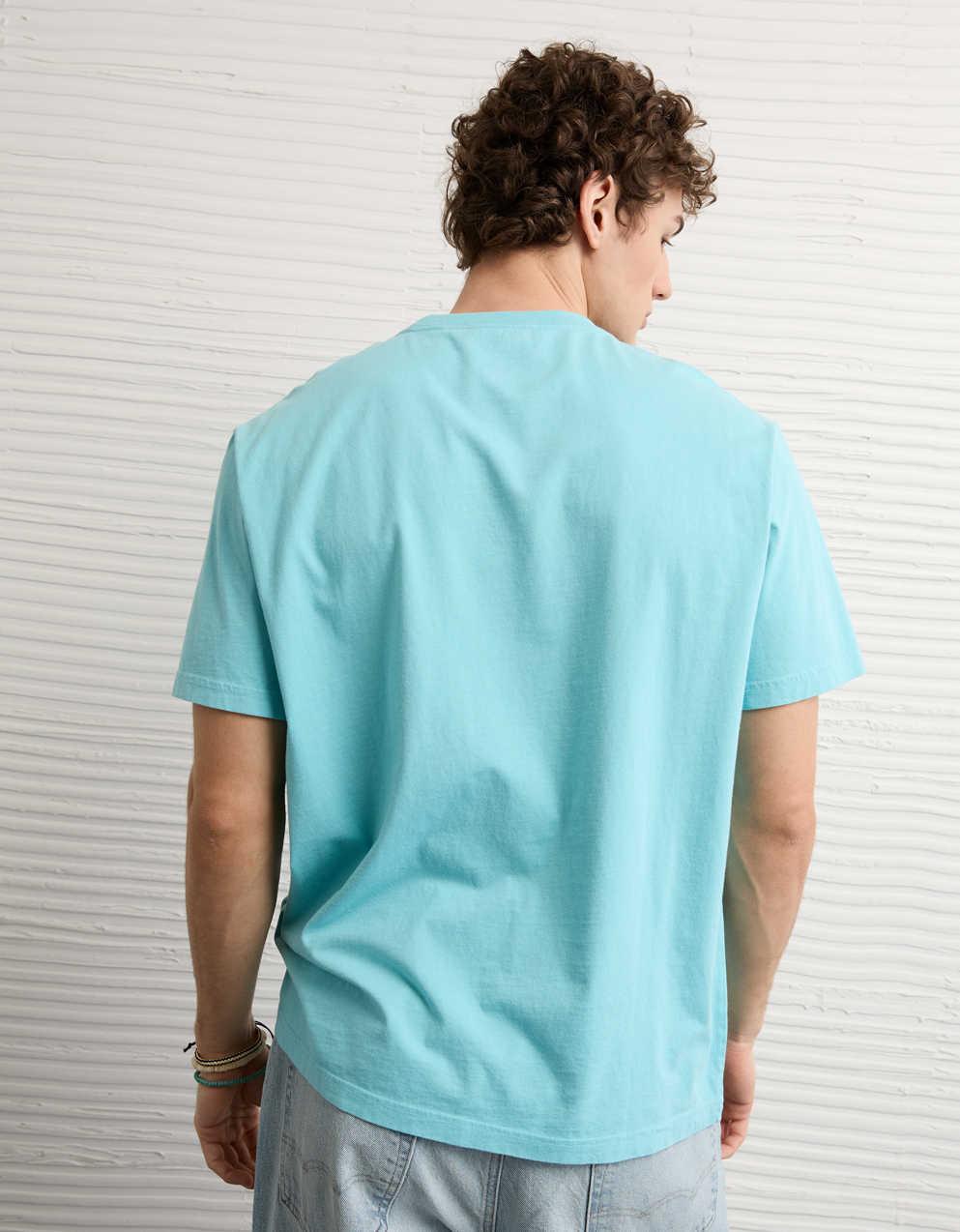 AE Standard Fit Destination Graphic T-Shirt
