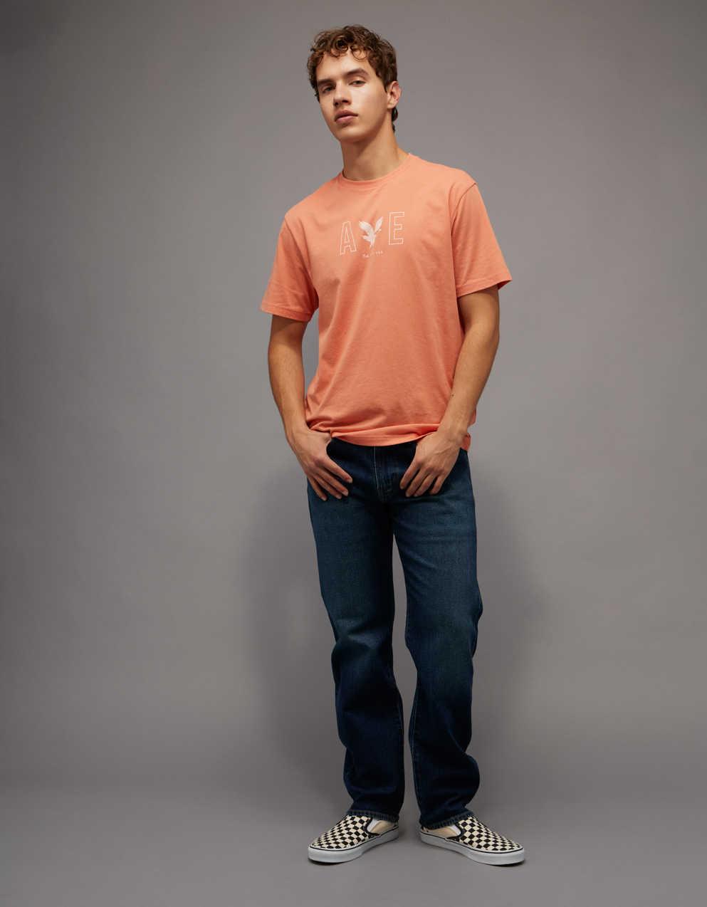 AE Standard Fit Lightweight Logo Graphic T-Shirt