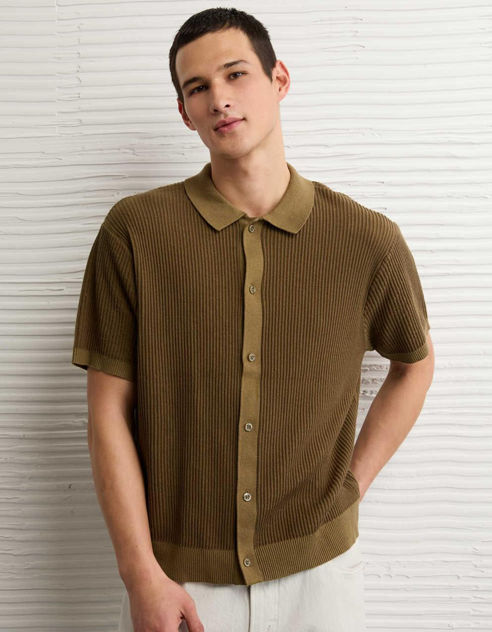 AE Striped Button-Up Sweater Polo