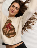 AE Snow Stopper Sweater
