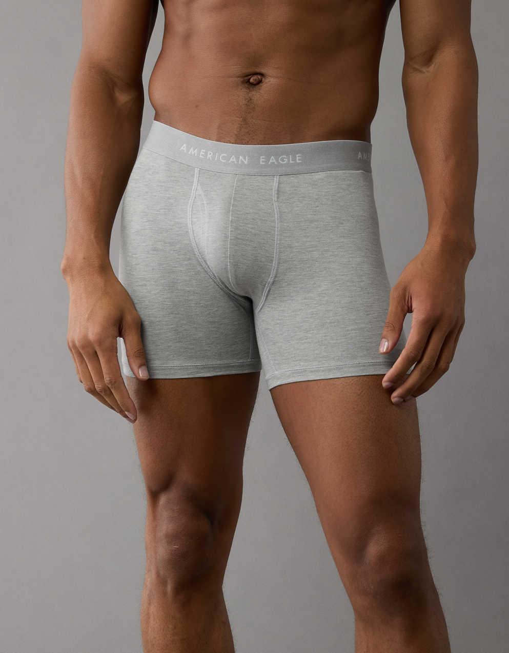 AEO Men's 4.5" Classic Boxer Brief