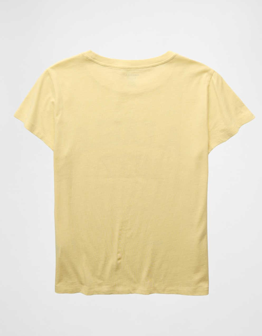 AE Slim Fit Graphic T-Shirt