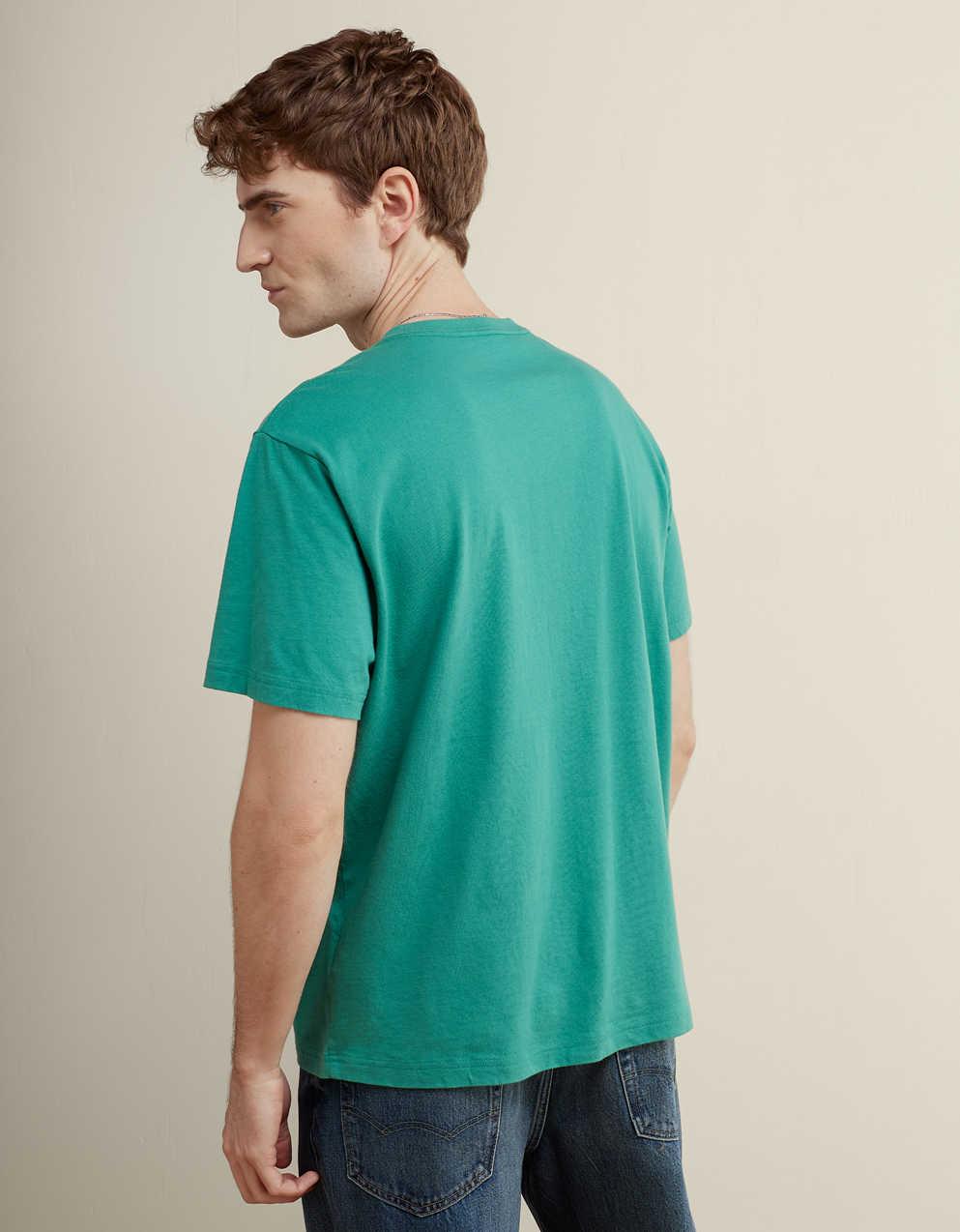 AE Standard Fit Applique Graphic T-Shirt