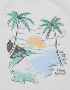 AE Graphic Ringer T-Shirt