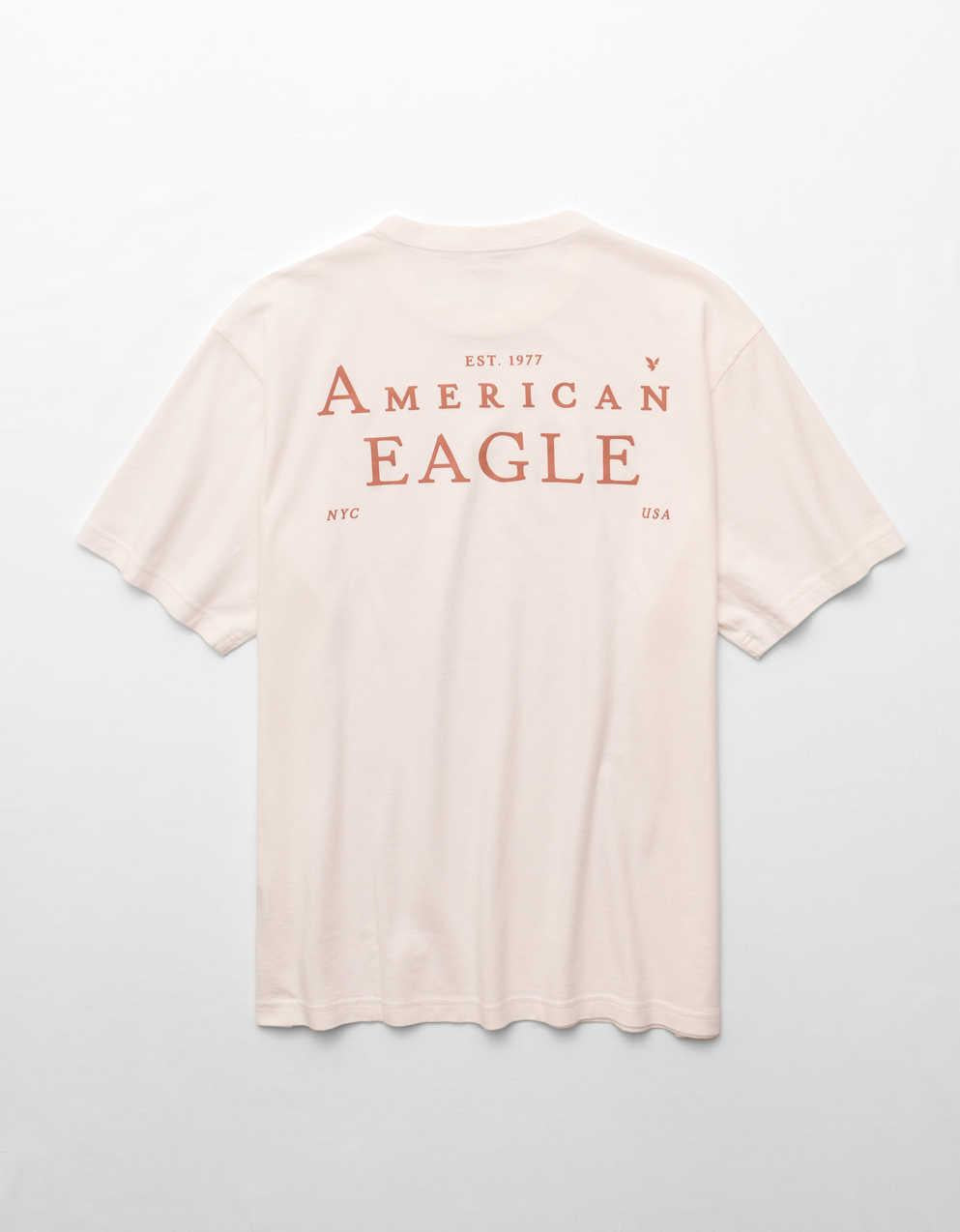 AE Photoreal Graphic T-Shirt