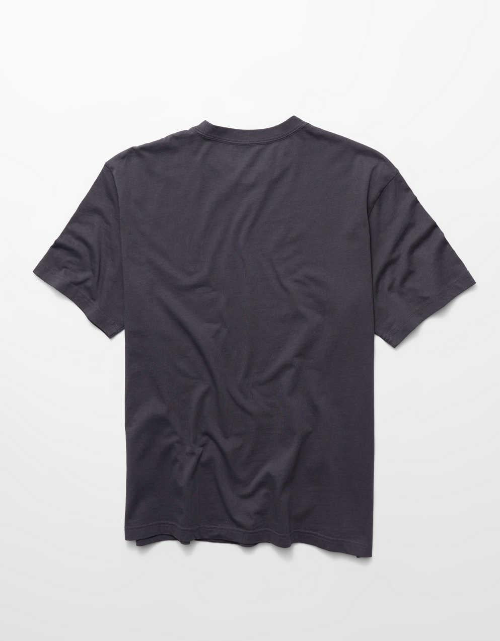 AE Standard Fit Graphic T-Shirt