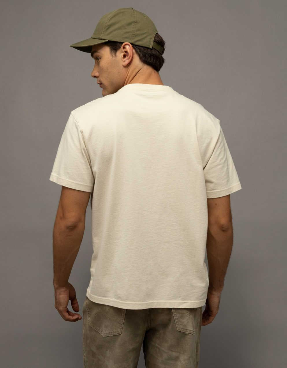 AE Standard Fit Graphic T-Shirt