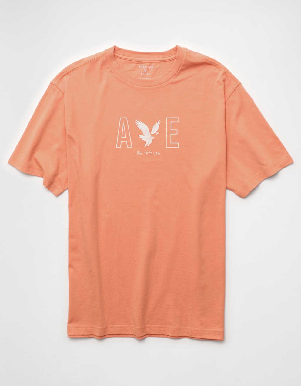 AE Standard Fit Lightweight Logo Graphic T-Shirt